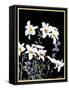 "Easter Lilies,"April 1, 1933-Nelson Grofe-Framed Stretched Canvas