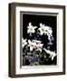 "Easter Lilies,"April 1, 1933-Nelson Grofe-Framed Giclee Print