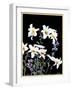 "Easter Lilies,"April 1, 1933-Nelson Grofe-Framed Giclee Print