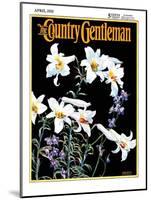 "Easter Lilies," Country Gentleman Cover, April 1, 1933-Nelson Grofe-Mounted Giclee Print