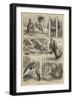 Easter Monday at the Zoological Gardens-Stanley Berkeley-Framed Premium Giclee Print