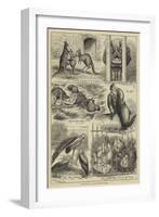 Easter Monday at the Zoological Gardens-Stanley Berkeley-Framed Premium Giclee Print