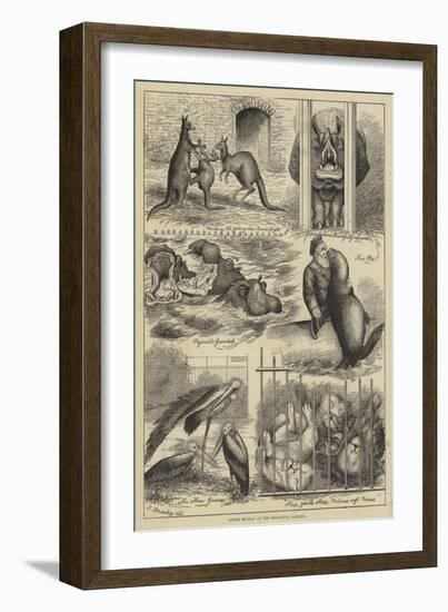 Easter Monday at the Zoological Gardens-Stanley Berkeley-Framed Giclee Print