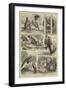 Easter Monday at the Zoological Gardens-Stanley Berkeley-Framed Giclee Print