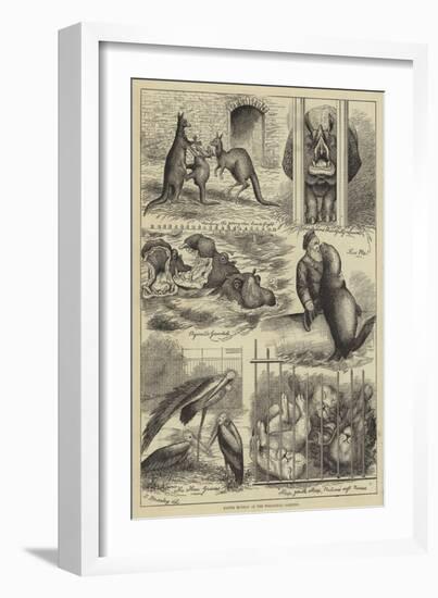 Easter Monday at the Zoological Gardens-Stanley Berkeley-Framed Giclee Print