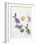 Easter Rabbits-George Adamson-Framed Giclee Print