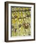 Easter Sunday, Lima, Peru, South America-Oliviero Olivieri-Framed Photographic Print