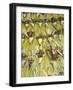 Easter Sunday, Lima, Peru, South America-Oliviero Olivieri-Framed Photographic Print