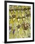 Easter Sunday, Lima, Peru, South America-Oliviero Olivieri-Framed Photographic Print