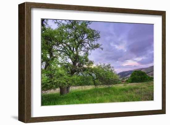 Easter Sunset from Mount Diablo-Vincent James-Framed Photographic Print