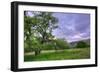 Easter Sunset from Mount Diablo-Vincent James-Framed Photographic Print