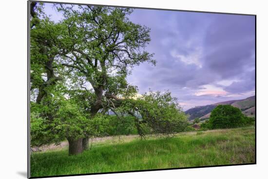 Easter Sunset from Mount Diablo-Vincent James-Mounted Photographic Print