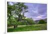 Easter Sunset from Mount Diablo-Vincent James-Framed Photographic Print