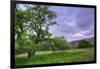 Easter Sunset from Mount Diablo-Vincent James-Framed Photographic Print