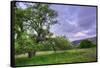 Easter Sunset from Mount Diablo-Vincent James-Framed Stretched Canvas