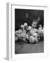 Easter Toys-Hansel Mieth-Framed Photographic Print