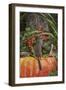 Eastern American Chipmunk on Pumpkin-Gary Carter-Framed Photographic Print