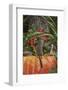 Eastern American Chipmunk on Pumpkin-Gary Carter-Framed Photographic Print