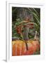 Eastern American Chipmunk on Pumpkin-Gary Carter-Framed Photographic Print