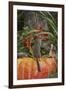 Eastern American Chipmunk on Pumpkin-Gary Carter-Framed Photographic Print