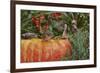 Eastern American Chipmunk on Pumpkin-Gary Carter-Framed Photographic Print