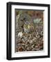 Eastern American Chipmunk-Gary Carter-Framed Premium Photographic Print