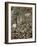 Eastern American Chipmunk-Gary Carter-Framed Photographic Print