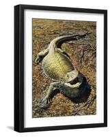 Eastern Bearded Dragon (Pogona Barbata), Agamidae-null-Framed Giclee Print