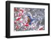 Eastern bluebird feeding on snow-covered Holly berries, USA-Marie Read-Framed Photographic Print