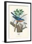 Eastern Bluebird Nest and Eggs-null-Framed Art Print