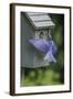 Eastern Bluebird-Gary Carter-Framed Photographic Print