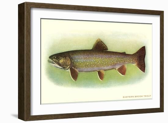 Eastern Brook Trout-null-Framed Art Print