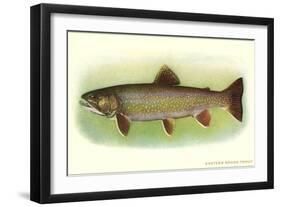 Eastern Brook Trout-null-Framed Art Print