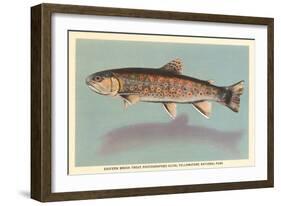 Eastern Brook Trout-null-Framed Art Print