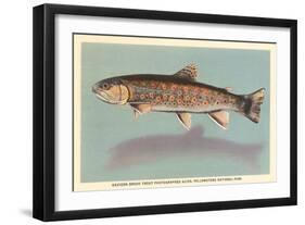 Eastern Brook Trout-null-Framed Art Print