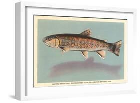 Eastern Brook Trout-null-Framed Art Print