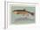 Eastern Brook Trout-null-Framed Art Print