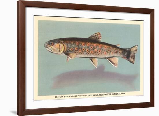 Eastern Brook Trout-null-Framed Premium Giclee Print