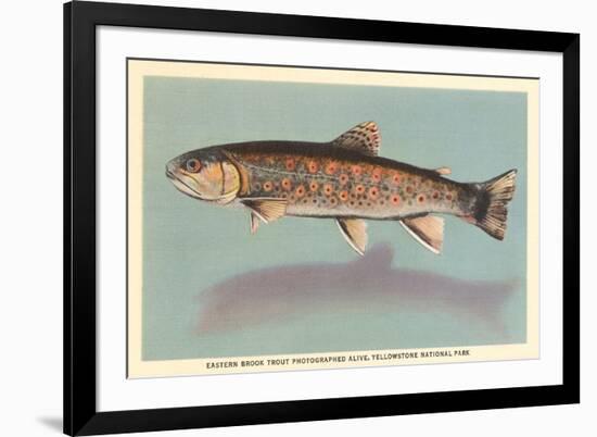 Eastern Brook Trout-null-Framed Premium Giclee Print