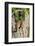 Eastern Chipmunk-Gary Carter-Framed Photographic Print