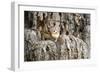 Eastern Chipmunk-Gary Carter-Framed Photographic Print