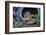 Eastern Chipmunk-Gary Carter-Framed Photographic Print