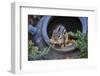 Eastern Chipmunk-Gary Carter-Framed Photographic Print