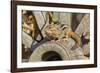 Eastern Chipmunk-Gary Carter-Framed Photographic Print