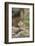 Eastern Chipmunk-Gary Carter-Framed Photographic Print