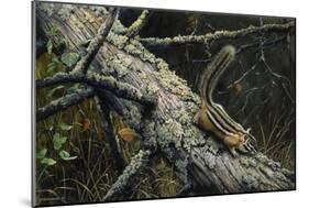 Eastern Chipmunk-Harro Maass-Mounted Premium Giclee Print