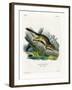 Eastern Chipmunk-null-Framed Giclee Print