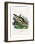 Eastern Chipmunk-null-Framed Giclee Print