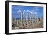 Eastern Church, Apollonia, Libya-Vivienne Sharp-Framed Photographic Print