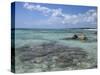 Eastern Coast, Punta Morena, Cozumel, Mexico-Savanah Stewart-Stretched Canvas